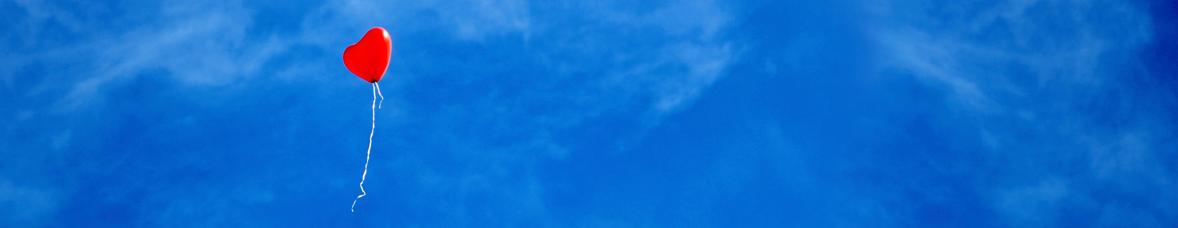 Loslaten top 1 Loslaten top 1